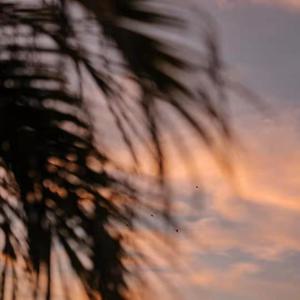 千岭乡酒局最新公告2023
