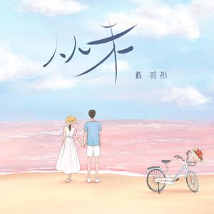 拍击挨打的视频网站
