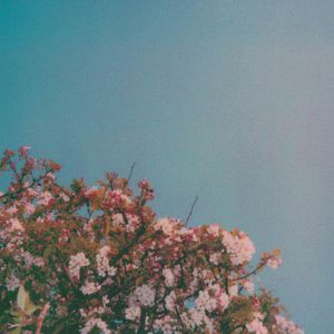 国产➕又黄➕又爽刺激直播
